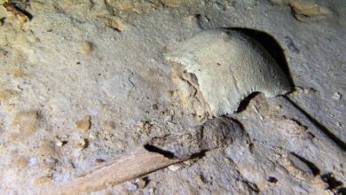 Hallan esqueleto de 8 mil años en un cenote cercano al Tren Maya