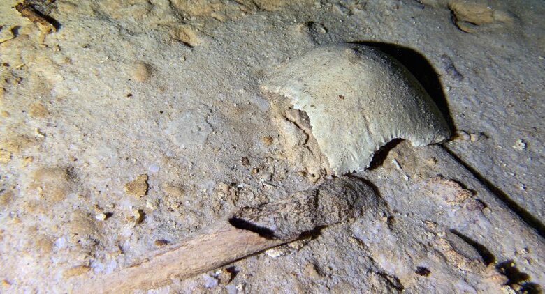 Hallan esqueleto de 8 mil años en un cenote cercano al Tren Maya