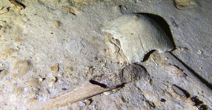 Hallan esqueleto de 8 mil años en un cenote cercano al Tren Maya