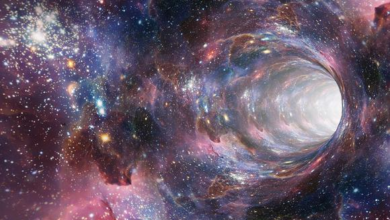 Podríamos estar ante el descubrimiento de un universo paralelo al nuestro