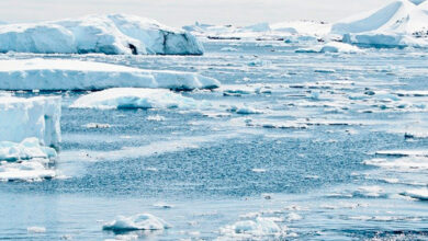 Casquetes polares registran temperaturas arriba de 40°