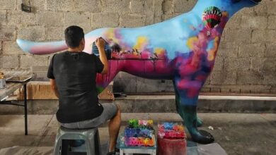 Antonio Caloca presentará su exposición plástica «Colores de mi tierra» en Xalapa
