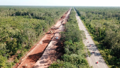 Suman más de 26 mil las piezas arqueológicas recuperadas por el INAH en zona de Tren Maya