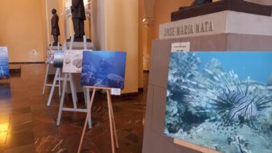 Celebran 30 años de protección a los arrecifes de Veracruz