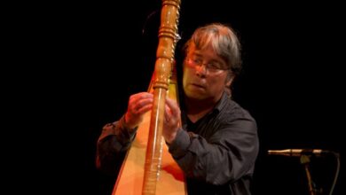 El Instituto Veracruzano de la Cultura invita al concierto Arpas de América Latina