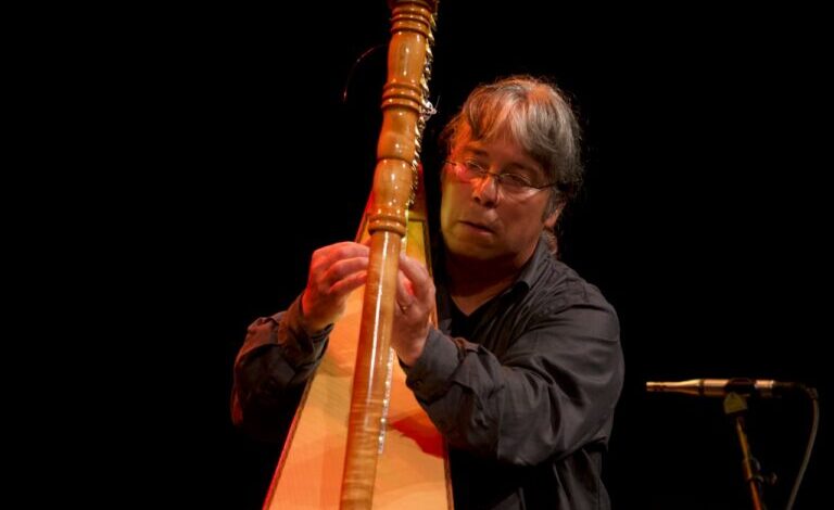 El Instituto Veracruzano de la Cultura invita al concierto Arpas de América Latina