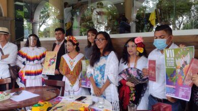Realizarán Festival Folklórico Internacional en municipios de Veracruz 