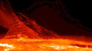 Sonda espacial de la NASA “toca” por primera vez el Sol