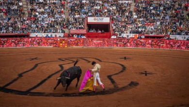 Suspenden indefinidamente las corridas de toros en la Plaza México