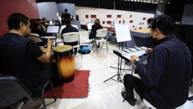 Ofrecerá Orquesta Pauta Nueva concierto en Palacio Municipal