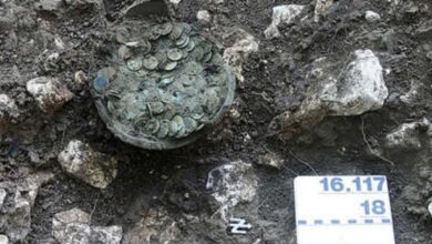 ¡Increíble! Arqueólogo encuentra mil 290 monedas romanas