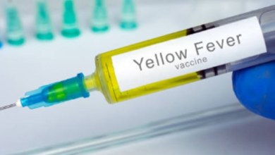 ¿Qué es la fiebre amarilla?