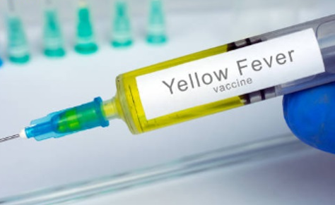 ¿Qué es la fiebre amarilla?
