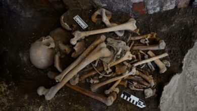 Hallan entierros humanos asociados a la intervención francesa
