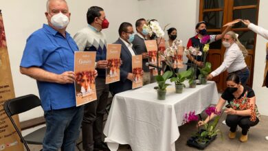 Anuncian Festival Internacional de la Orquídea en Coatepec