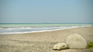 Solo una playa mexicana no es apta para uso recreativo por exceso de heces fecales
