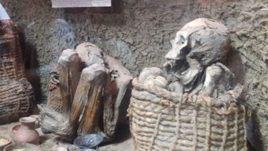 Arqueólogos descubren tumba de 2 mil años con 30 momias