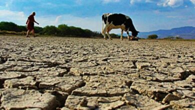 Urgen acciones para frenar la desertificación en México