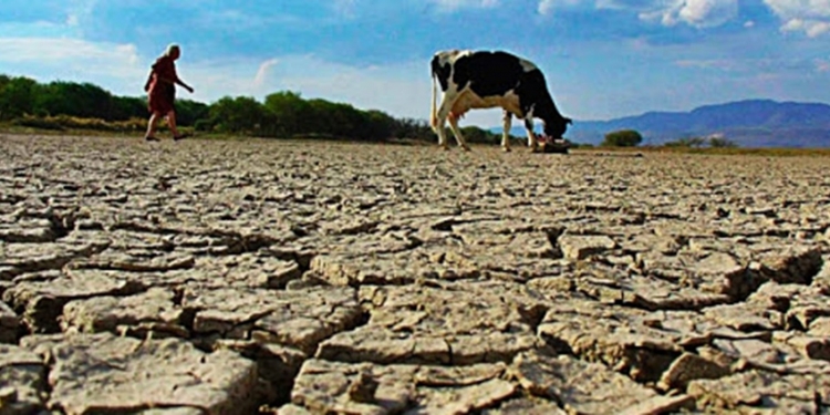 Urgen acciones para frenar la desertificación en México