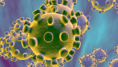 Científicos identifican moléculas que evitan entrada del coronavirus a las células