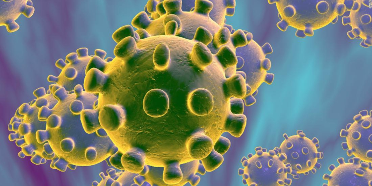 Científicos identifican moléculas que evitan entrada del coronavirus a las células