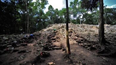 Descubren palacio milenario en zona arqueológica de Kulubá, Yucatán