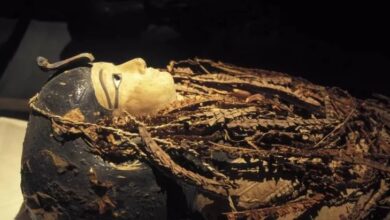 Develan secretos de la momia de Amenhotep I tras tres mil años