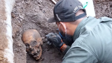 Descubren y recuperan entierros en las afueras del Panteón San Fernando