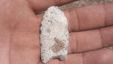Descubren punta Clovis, vestigio de los primeros pobladores de América en Zacatecas