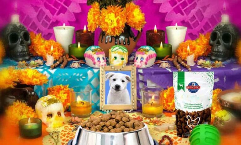 ¿Sabías que hay Día de Muertos para mascotas?