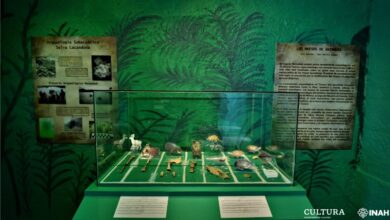 Visita “Arqueología en las casas de los dioses”, en Cuicuilco