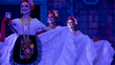 UV hará el Bravo Xalapa Festival Cultural; la unión del arte, la cultura y la ciencia