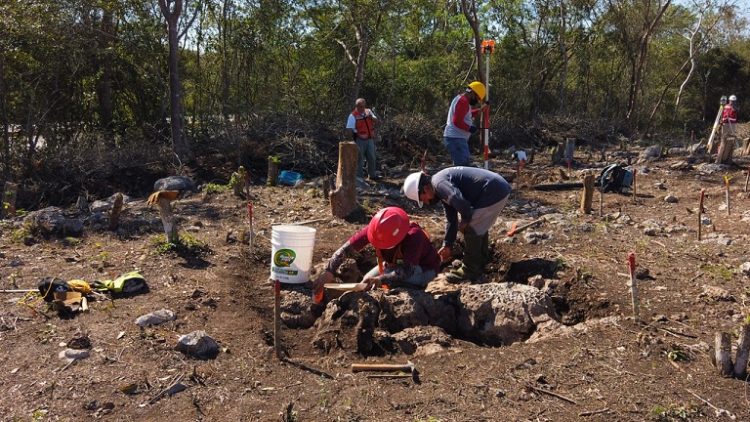 Continúan los descubrimientos arqueológicos en obras del Tren Maya