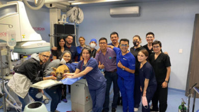 Ali, primer perro en recibir válvula pulmonar en México y América Latina