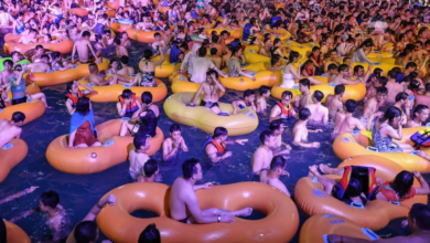 Miles se reúnen en parque acuático de Wuhan