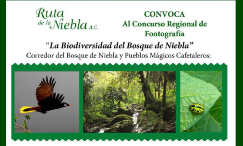 Convocan a concurso de fotografía «La biodiversidad del Bosque de Niebla»