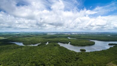 La pandemia deja a la Amazonia más frágil que nunca
