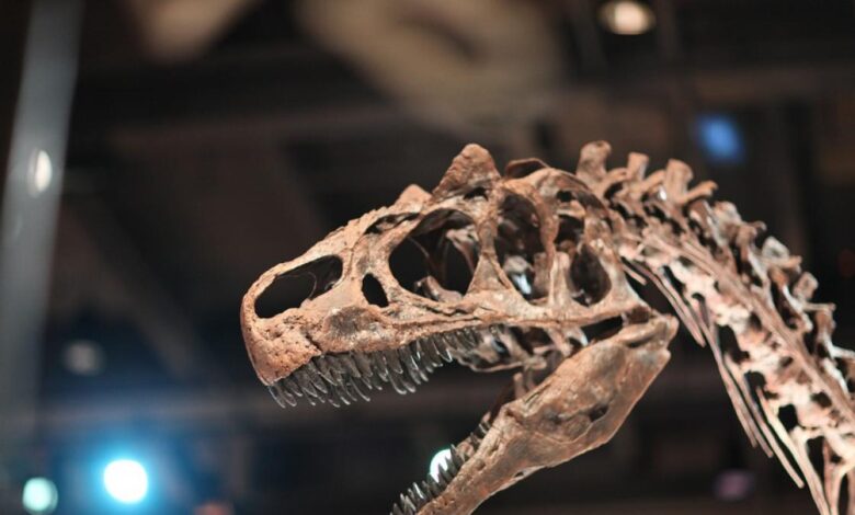 Detectan por primera vez cáncer de hueso en un dinosaurio