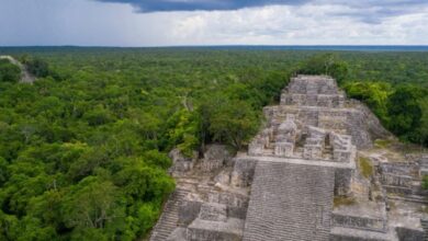 Instalan el Consejo Científico Cultural para el Tren Maya