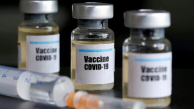 Vacuna de Moderna generó una respuesta inmunitaria ‘robusta’ en monos