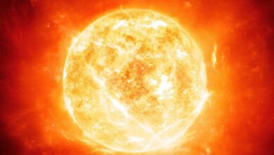 Revelan las fotos más cercanas del Sol; muestran ‘hogueras’ en su superficie