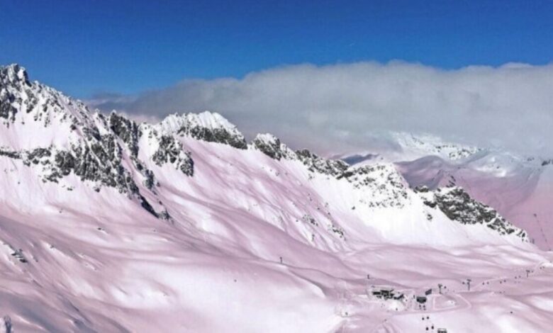 Indagan sobre hielo rosa en los Alpes