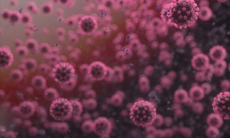 Proyecto español estudia a un parásito para extinguir el coronavirus