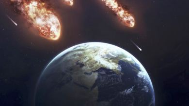 Cinco grandes asteroides pasarán esta semana cerca de la Tierra