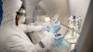 Iniciarán pruebas de vacuna contra Covid-19 en humanos