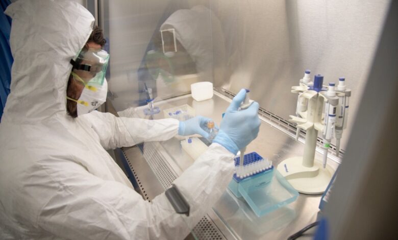 Iniciarán pruebas de vacuna contra Covid-19 en humanos