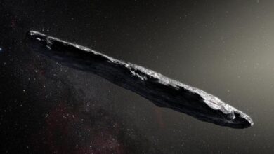 ¡Iceberg en el espacio! Revelan nueva teoría sobre el asteroide Oumuamua