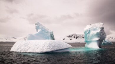 Capas de hielo en Antártida son capaces de retroceder hasta 50 metros al día