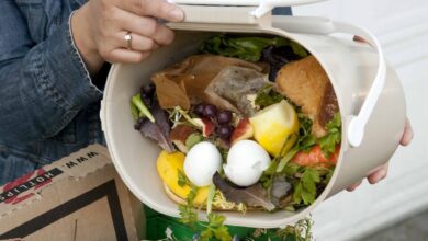 Al desperdicio, el 20% de los alimentos para consumo humano