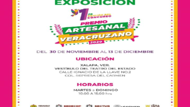 IVEC da a conocer a ganadores del Primer Premio Anual Artesanal Veracruzano 2020